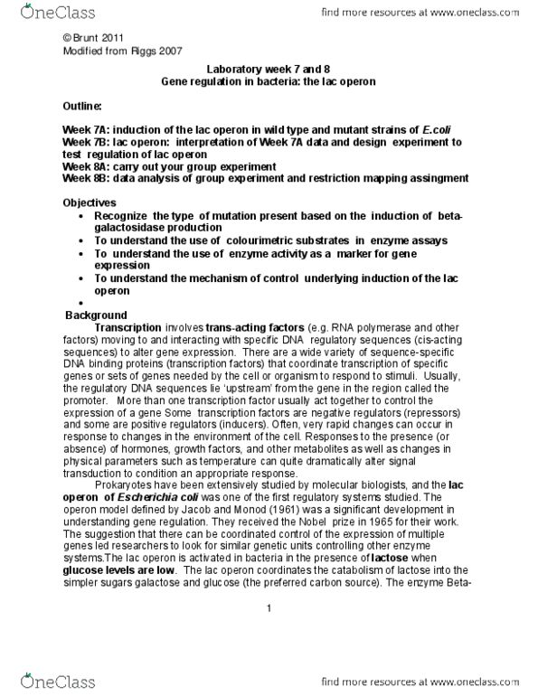 BIOB12H3 Chapter Notes -Lac Repressor, Regulatory Sequence, Operon thumbnail
