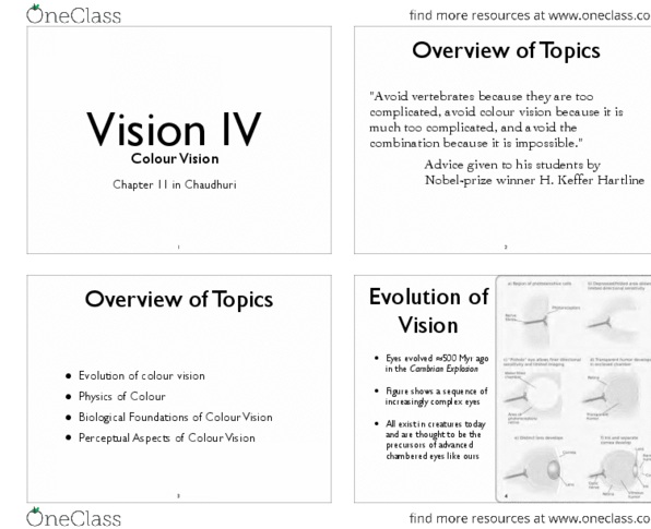 PSY 3108 Lecture Notes - Color Vision, Dichromacy, Hsl And Hsv thumbnail
