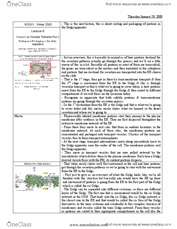 BIO120H1 Lecture Notes - Lecture 8: Golgi Apparatus, Transmembrane Protein, Lysosome thumbnail