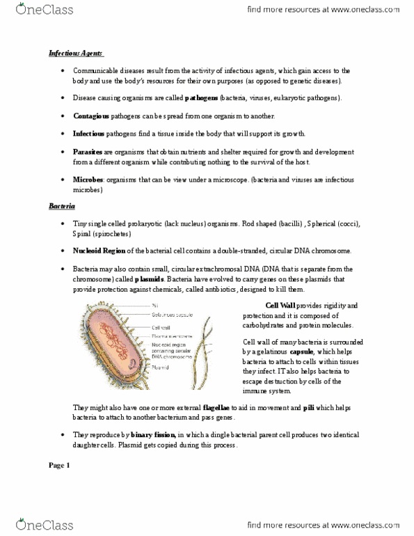 BIOL 111 Chapter Notes -Empty Spaces, Plant Cell, Microtubule thumbnail