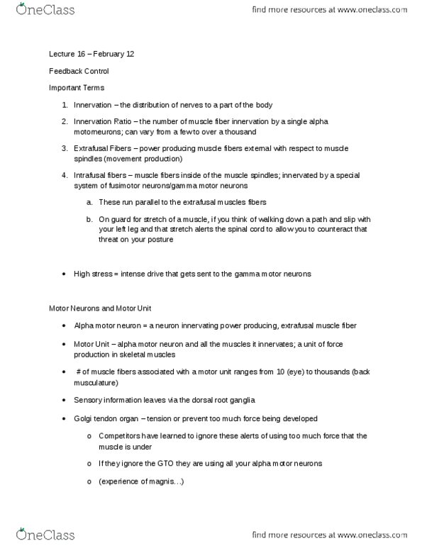 Kinesiology 1080A/B Lecture Notes - Lecture 16: Retina, Dont, Visual Cortex thumbnail