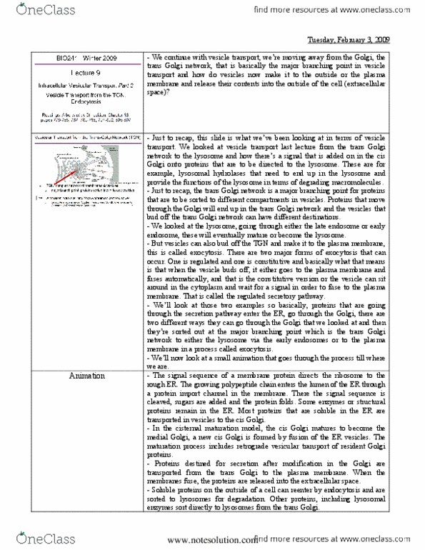 BIO120H1 Lecture Notes - Lecture 9: Endosome, Exocytosis, Tigrinya Language thumbnail