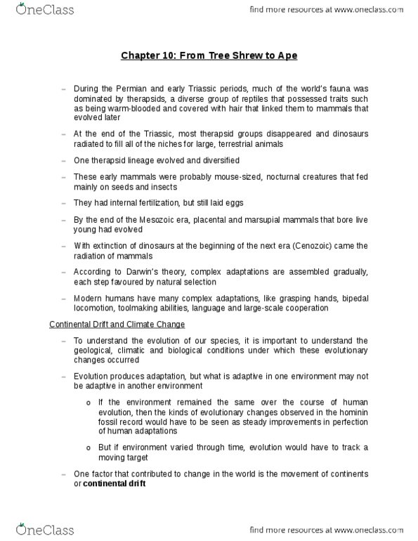 BIOLOGY 1M03 Chapter Notes - Chapter 10: Laurasia, Bipedalism, Paleoclimatology thumbnail