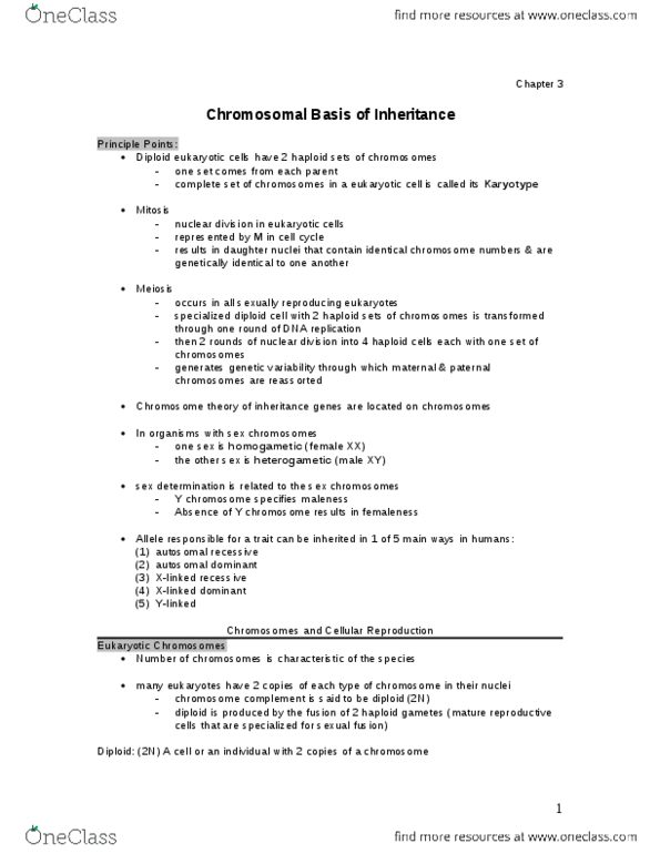 BIO207H5 Chapter Notes - Chapter 3: Chromatin, Genetic Recombination, Tooth Enamel thumbnail