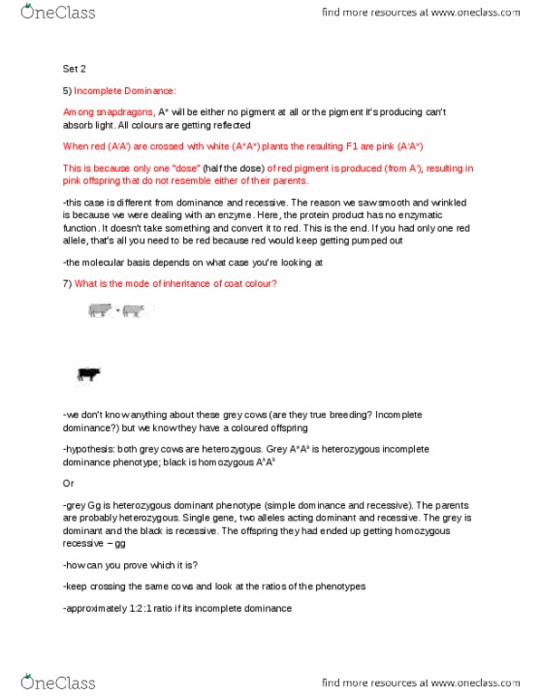 BIOL239 Lecture Notes - Summer Squash, Retina, Statistical Hypothesis Testing thumbnail