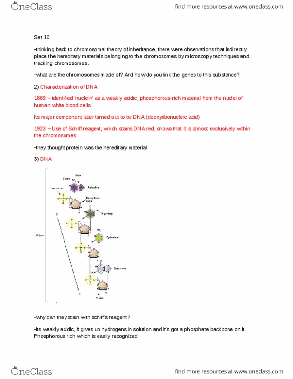 BIOL239 Lecture Notes - Antibody, Cysteine, Herpesviridae thumbnail