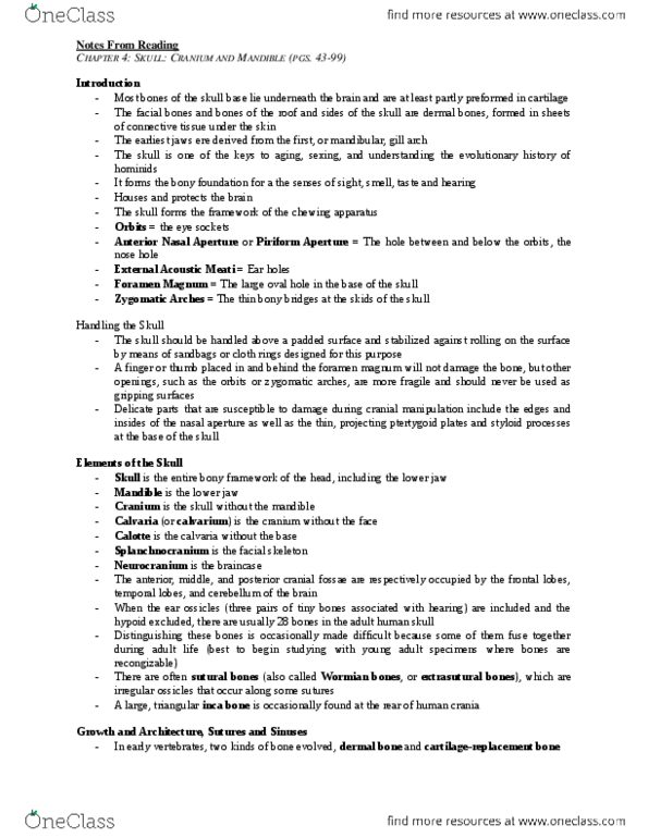 ANT334H5 Chapter Notes - Chapter 4: Lambdoid Suture, Sagittal Suture, Sphenoidal Sinus thumbnail