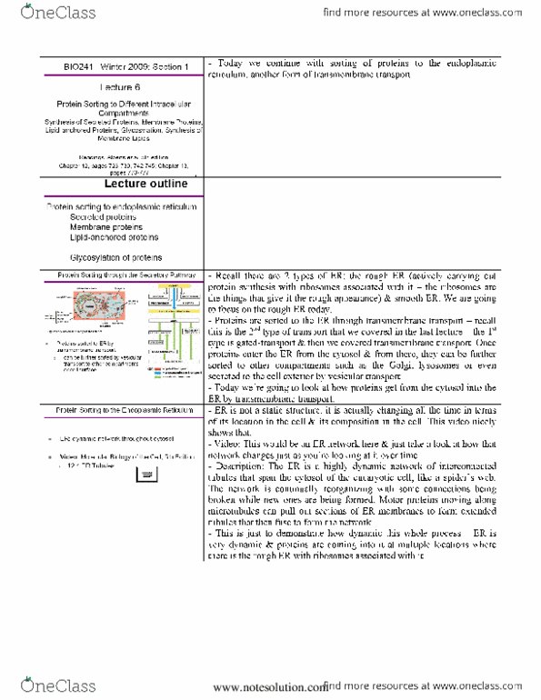 BIO120H1 Lecture 6: Lecture #6 notes thumbnail