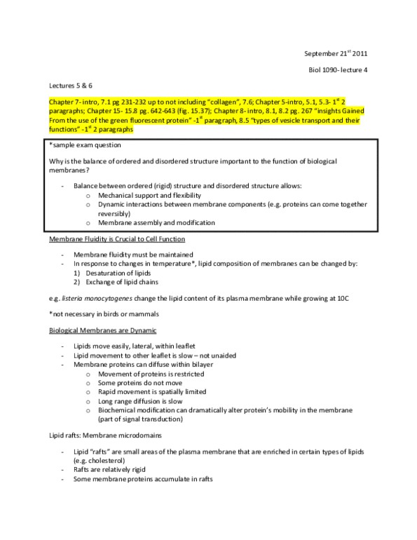 document preview image