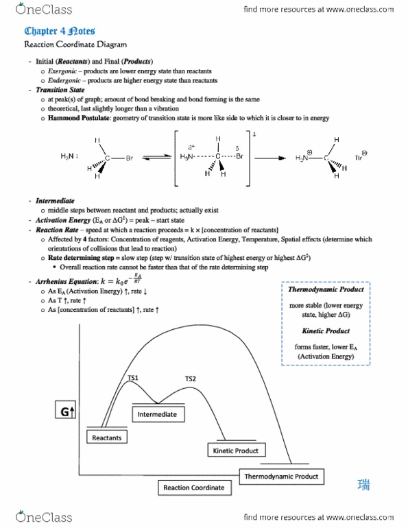 document preview image