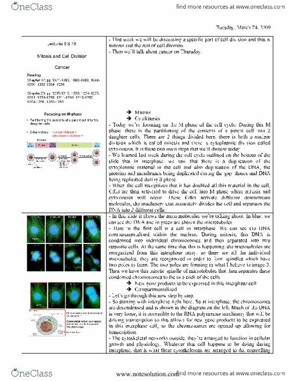 document preview image