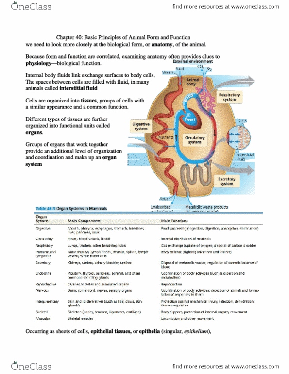 document preview image