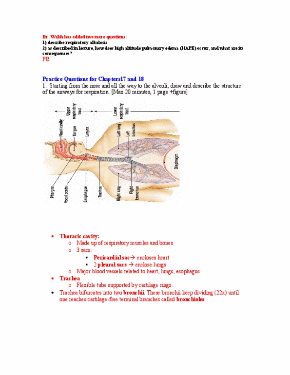 BPK 205 Chapter Notes - Chapter 17: Lung Volumes, High-Altitude Pulmonary Edema, Functional Residual Capacity thumbnail