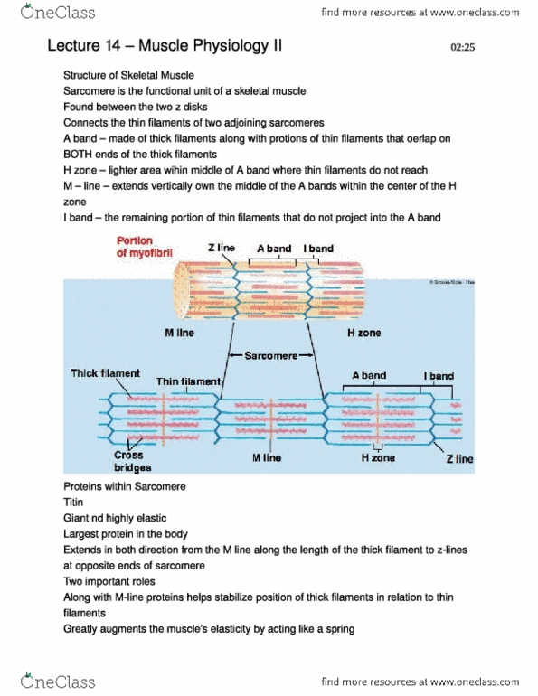 document preview image