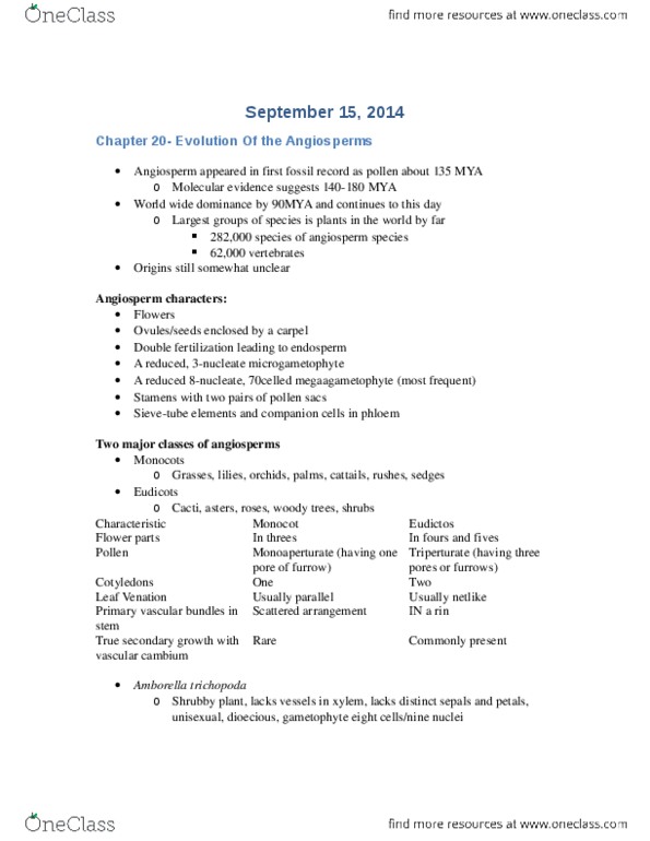 BIOL 3560 Lecture Notes - Flowering Plant, Eudicots, Gynoecium thumbnail