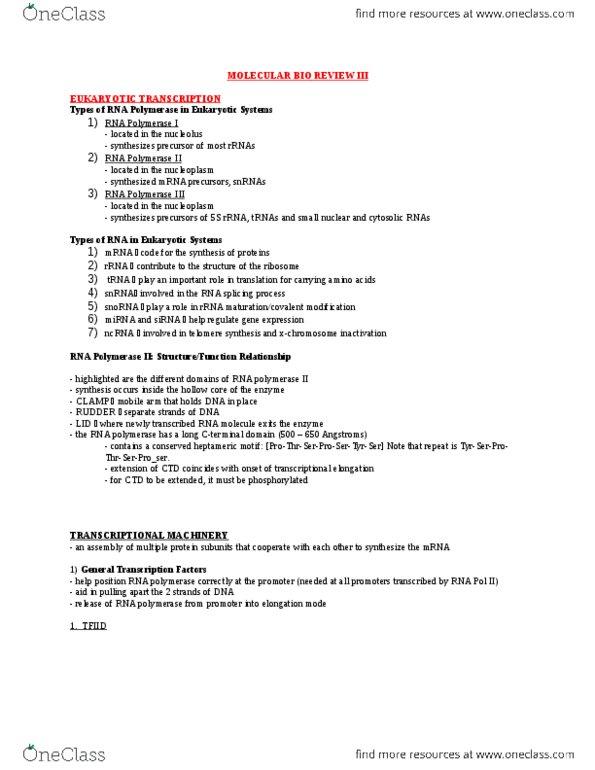 BCH 3170 Lecture Notes - Rna Polymerase Ii, Rna Splicing, Tata Box thumbnail