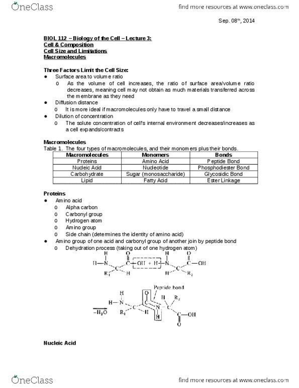 BIOL 112 Lecture Notes - Lecture 3: Peptide Bond, Glycosidic Bond thumbnail