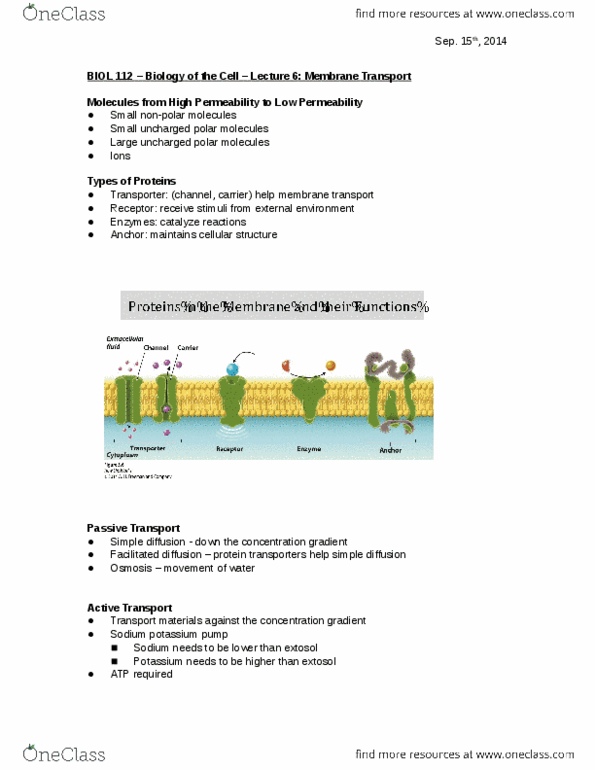 BIOL 112 Lecture 6: Membrane Transport thumbnail