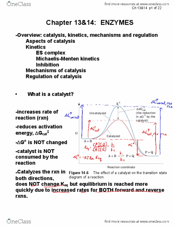 NE224 Lecture Notes - Lecture 8: Enzyme, Activation Energy, Asteroid Family thumbnail