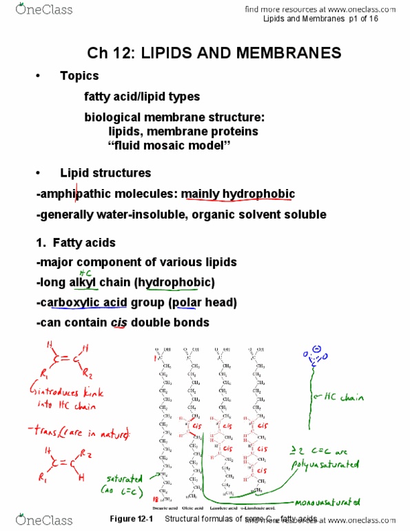 document preview image