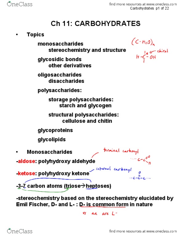 NE224 Lecture Notes - Lecture 13: Stereocenter, Stereochemistry, Polysaccharide thumbnail