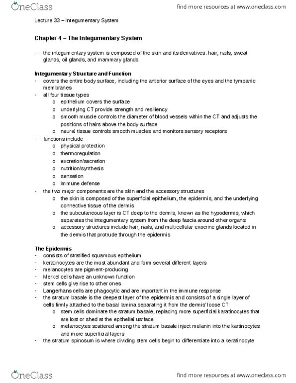 ANAT 215 Chapter Notes -Integumentary System, Dermis, Apocrine thumbnail