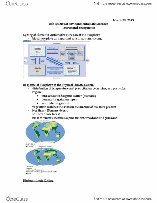 LIFESCI 2H03 Lecture 19: LifeSci2H03 - Terrestrial Ecosystems.pdf thumbnail