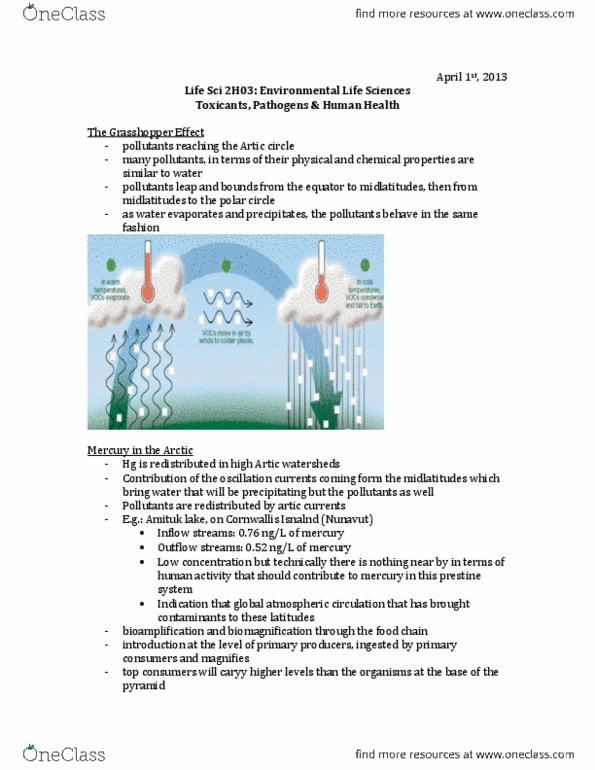 LIFESCI 2H03 Lecture 15: LifeSci2H03-Contaminants and Human Health.pdf thumbnail