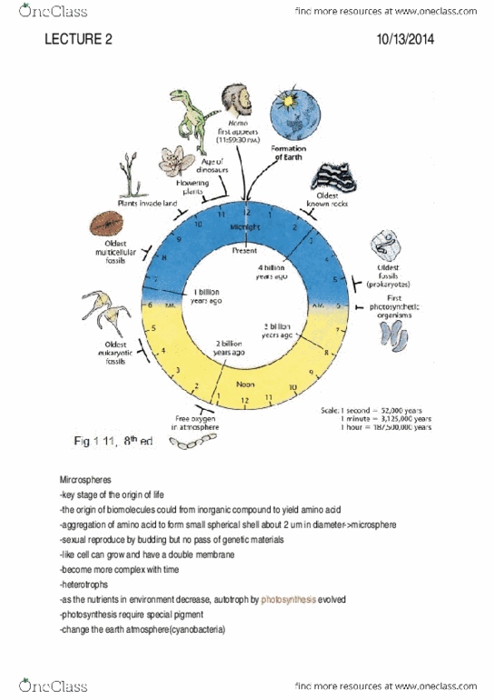 document preview image