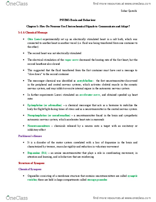 PSYB65H3 Chapter Notes - Chapter 5: Autonomic Nervous System, Somatic Nervous System, Vagus Nerve thumbnail