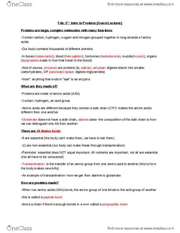 NUTR 1010 Chapter Notes -Osteocalcin, Alanine, Amine thumbnail