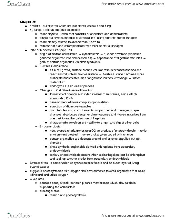 BSC 2011 Chapter : Biology2Notes_BSC2011.docx thumbnail