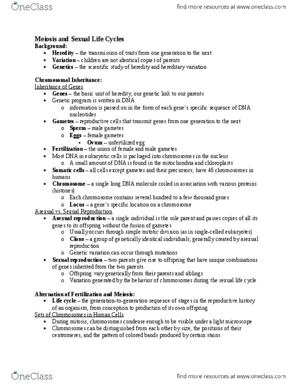 BIOL-UA 11 Chapter Notes -Asexual Reproduction, Genetic Variation, Centromere thumbnail