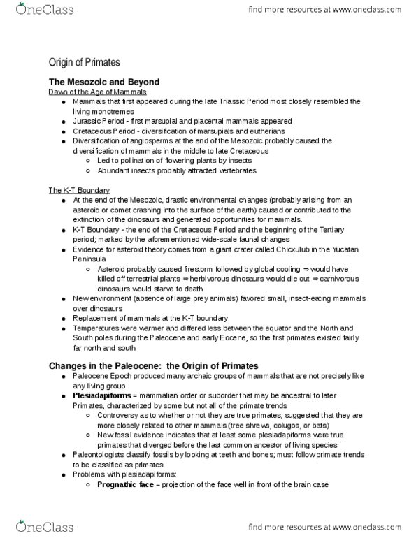 ANTH-UA 2 Chapter Notes -Treeshrew, Marsupial, Mesozoic thumbnail