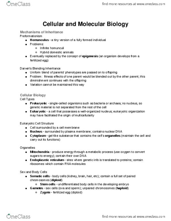 ANTH-UA 2 Lecture Notes - Lecture 2: Egg Cell, Archaea, Chromosome thumbnail