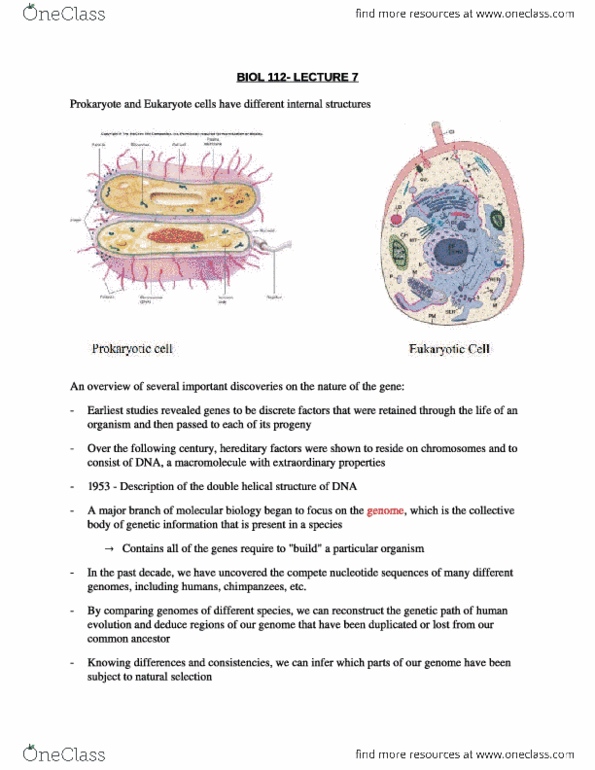 document preview image