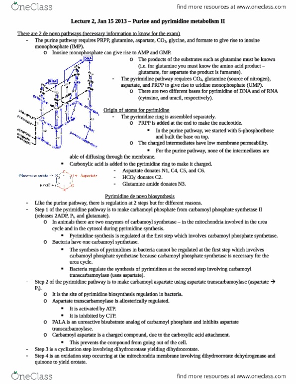 document preview image