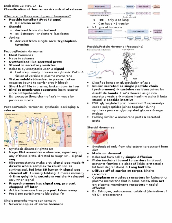 PSL201Y1 Lecture Notes - Lecture 2: Tyrosine, Pituitary Gland, Neurotransmitter thumbnail