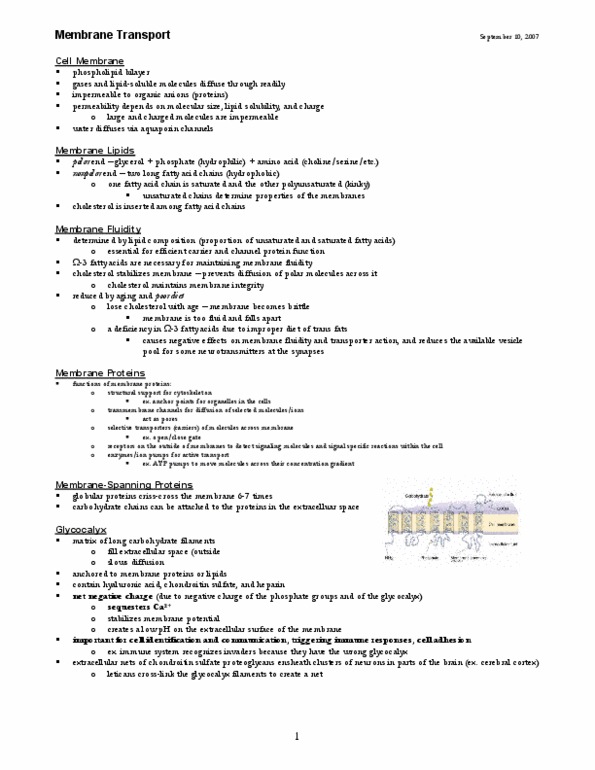 PSL300H1 Lecture Notes - Symporter thumbnail