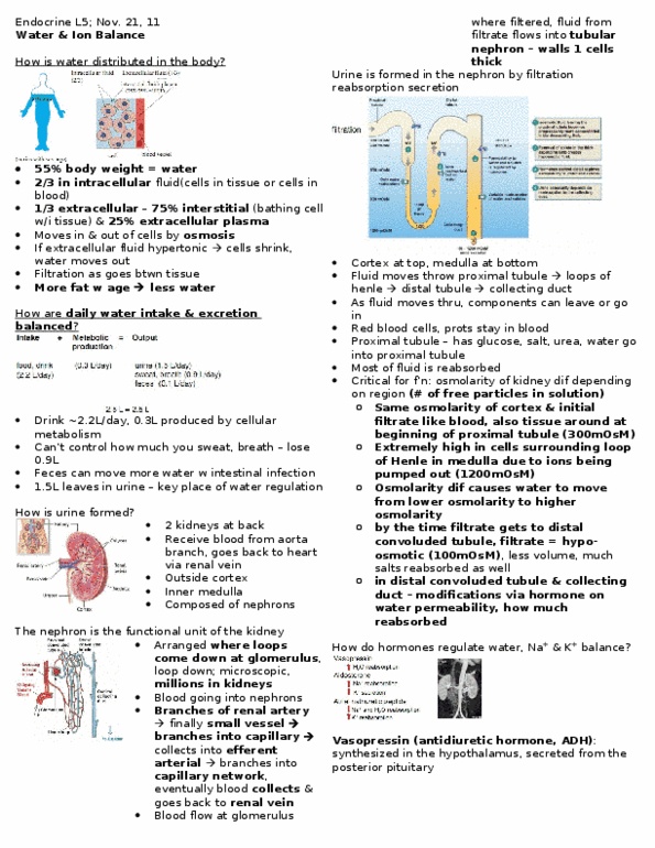 PSL201Y1 Lecture Notes - Lecture 5: Osmoreceptor, Natriuretic Peptide thumbnail