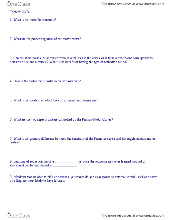 KINE 3020 Chapter Notes -Supplementary Motor Area, Lesion, Premotor Cortex thumbnail