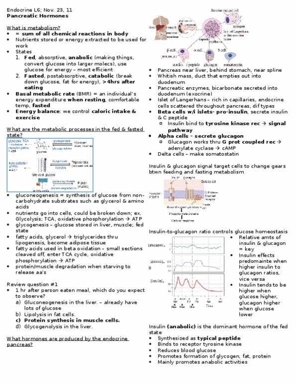 PSL201Y1 Lecture Notes - Lecture 6: Glycerol, Glycogenolysis, Polyuria thumbnail