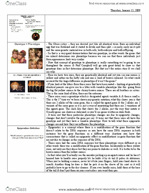 HMB265H1 Lecture Notes - Phenotype, Chromosome, Xist (Gene) thumbnail