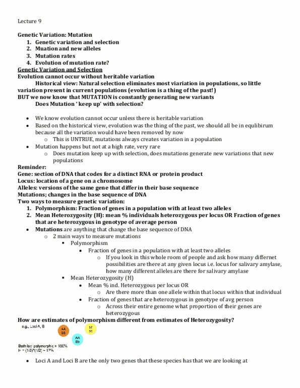 document preview image