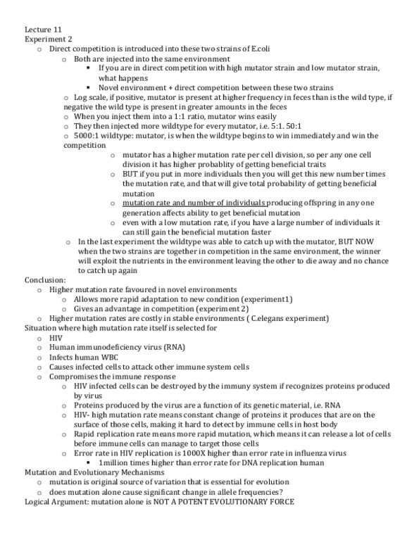 document preview image