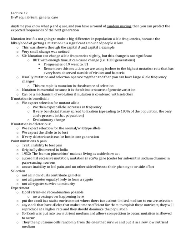 document preview image