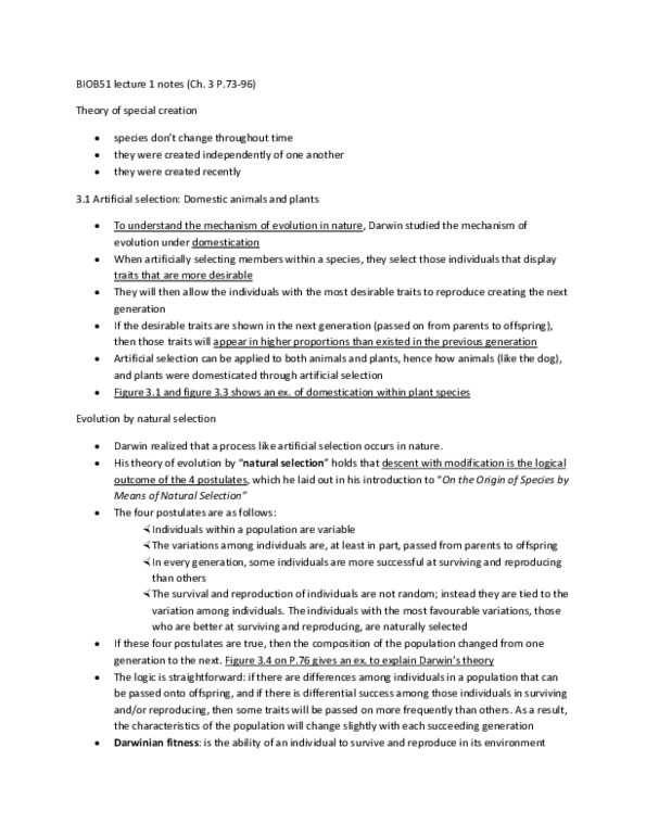 document preview image
