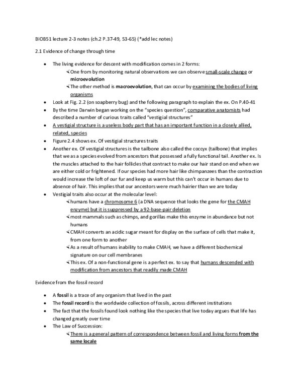document preview image