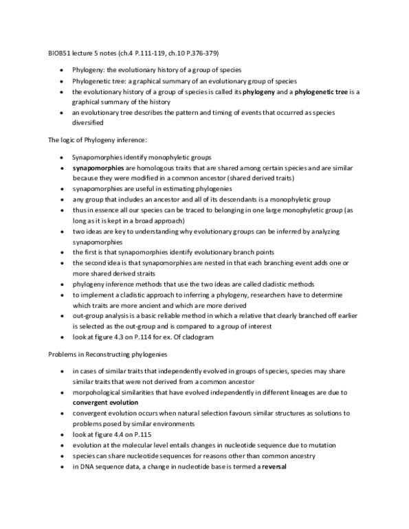 document preview image