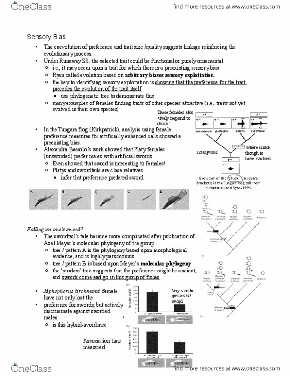 BIOL 210 Lecture Notes - Lecture 14: Molecular Phylogenetics, Xiphophorus, Phylogenetic Tree thumbnail